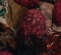 Marvels_3397.jpg