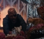 Marvels_3404.jpg