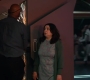 Marvels_3409.jpg
