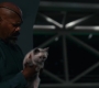 Marvels_3421.jpg
