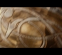 Thor2-01222.jpg