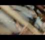 Thor2-01224.jpg
