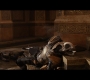 Thor2-01293.jpg