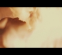 Thor2-01483.jpg