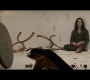 Thor2-01736.jpg