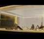 Thor2-01739.jpg