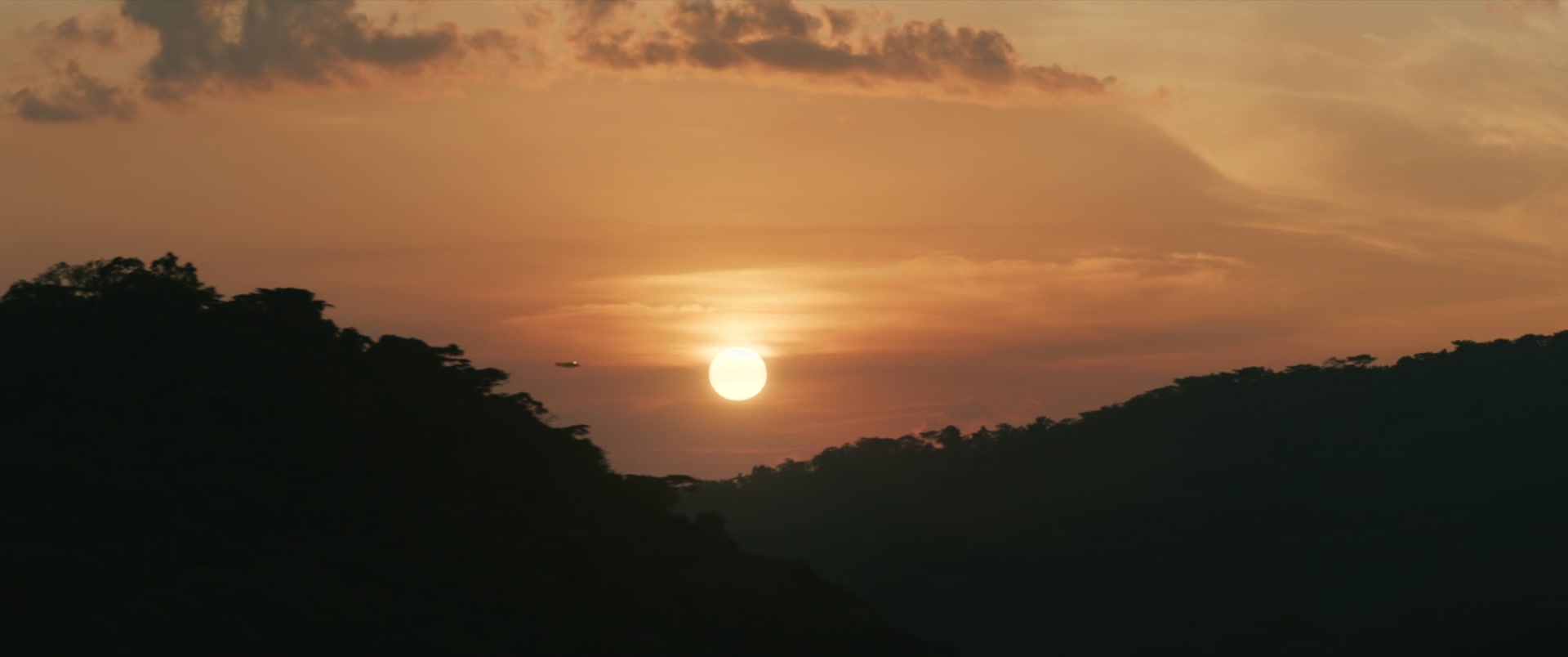 HOTN_0549.jpg