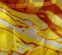 HOTN_0172.jpg