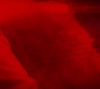 HOTN_0173.jpg