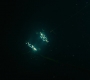 HOTN_0365.jpg