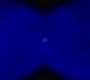 HOTN_0417.jpg