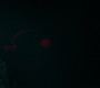HOTN_0420.jpg