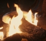HOTN_0748.jpg