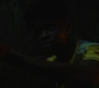 HOTN_0825.jpg