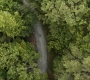 HOTN_0962.jpg