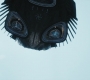 HOTN_2445.jpg