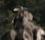 HOTN_2656.jpg