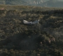 HOTN_2657.jpg
