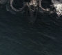 HOTN_2801.jpg