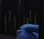 HOTN_3286.jpg
