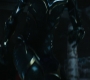 HOTN_3412.jpg