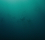 HOTN_3590.jpg