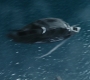 HOTN_3674.jpg