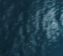 HOTN_3682.jpg
