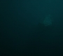 HOTN_3723.jpg