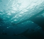 HOTN_3728.jpg