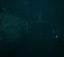 HOTN_3730.jpg