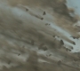 HOTN_3781.jpg