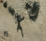 HOTN_3816.jpg