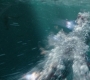 HOTN_3832.jpg