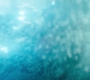 HOTN_3835.jpg