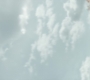 HOTN_3857.jpg