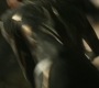 HOTN_3958.jpg