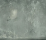 HOTN_3966.jpg