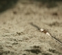 HOTN_4016.jpg