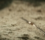 HOTN_4017.jpg