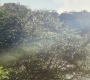 HOTN_4114.jpg