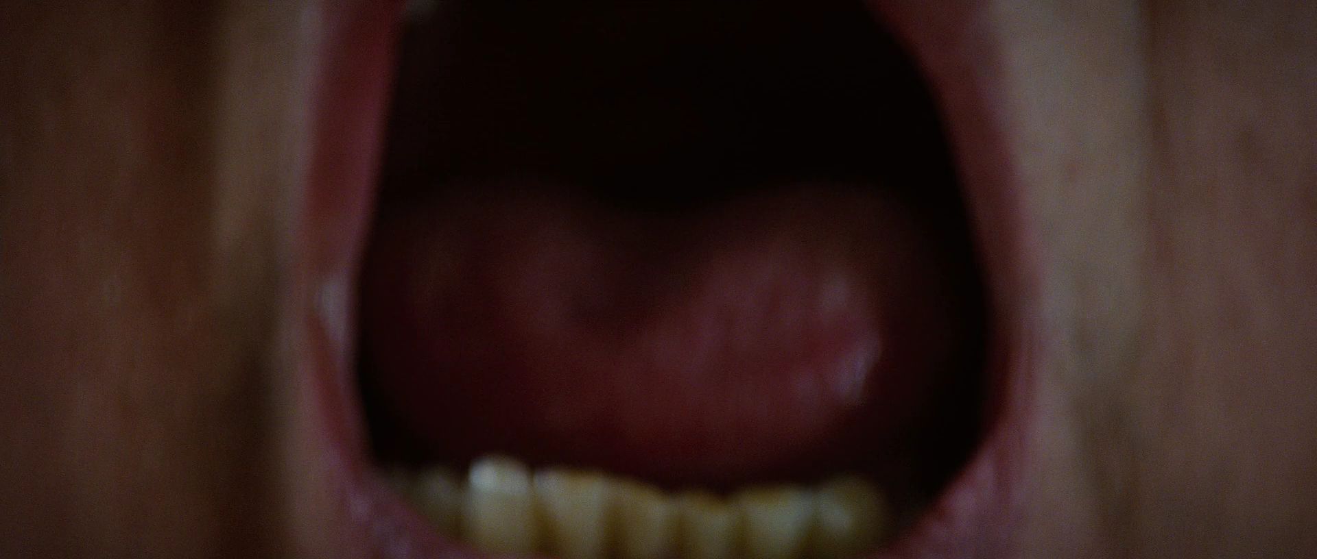 XMFC0539.jpg