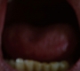 XMFC0539.jpg