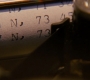 XMFC1756.jpg