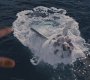XMFC3861.jpg