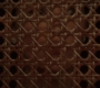 AC206-00795.jpg
