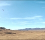 FalconWinter1_0285.jpg