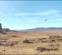 FalconWinter1_0287.jpg