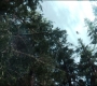 FalconWinter2_0340.jpg