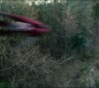 FalconWinter2_0346.jpg